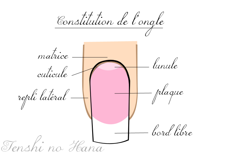 5 autres façons d'utiliser une lime à ongle - Maximag.fr